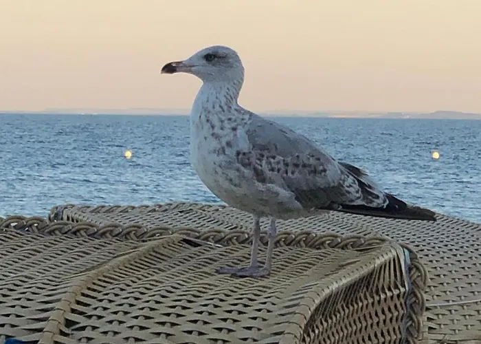 Tor 1 - Luca's Nest Apartamento *